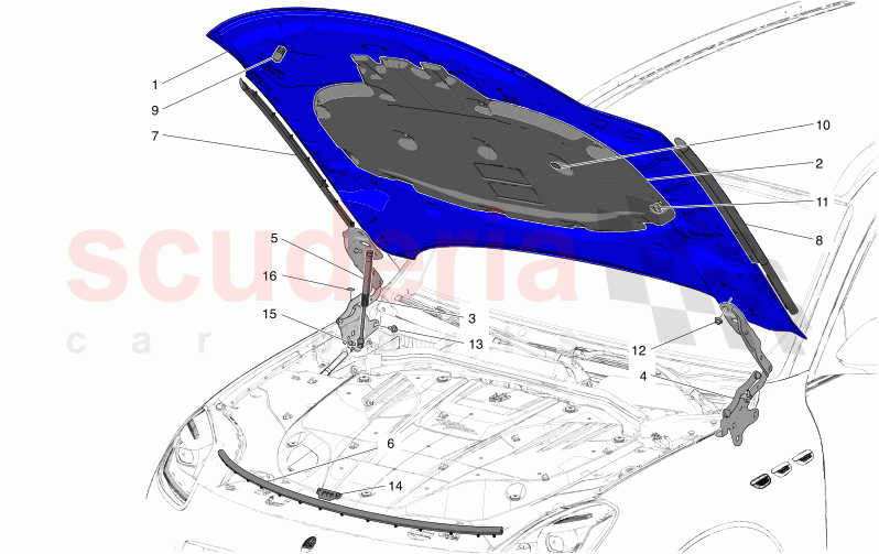 FRONT LID of Maserati Maserati Grecale Folgore Automatic 4WD BEV 400 kW