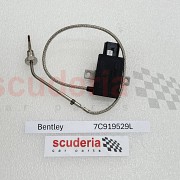 Continental Emissions Sensor