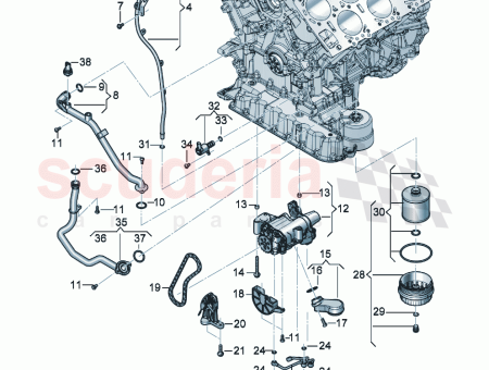 Photo of LSAUGROHR…