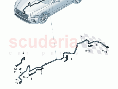 Photo of ST TZB GEL…