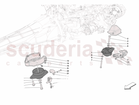 Photo of BUCHSE HITZESCHILD…
