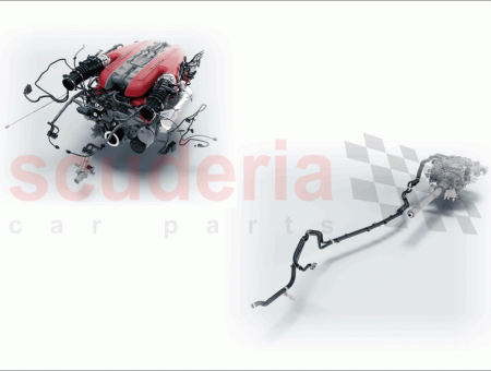 Photo of KURZBOCK…