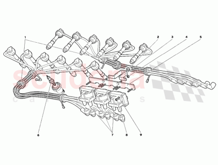 Photo of ST TZE SUPPORTO 7 12…