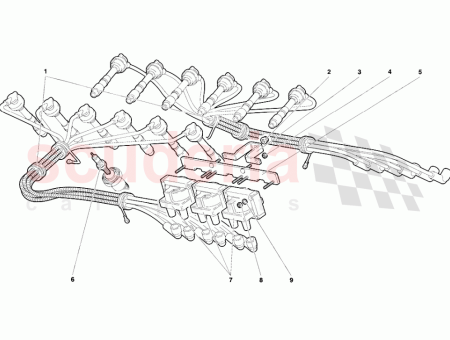 Photo of ST TZE SUPPORTO…