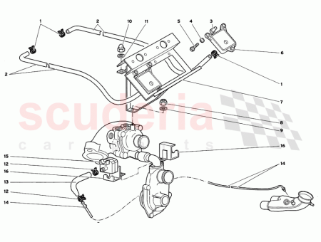 Photo of ST TZE SUPPORTO…
