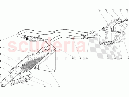 Photo of ST TZE SUPPORTO…