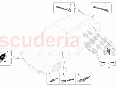 Photo of LH TROFEO SIDE LOGO…