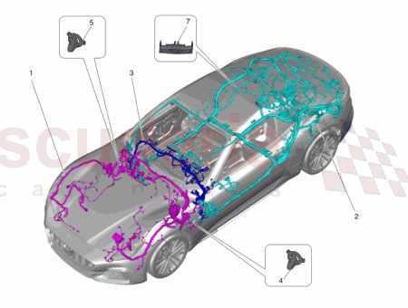 Photo of VORDERER GURT…