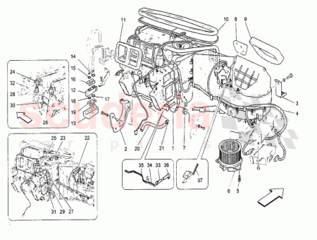 Photo of BET TIGER…