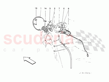 Photo of BET TIGER…