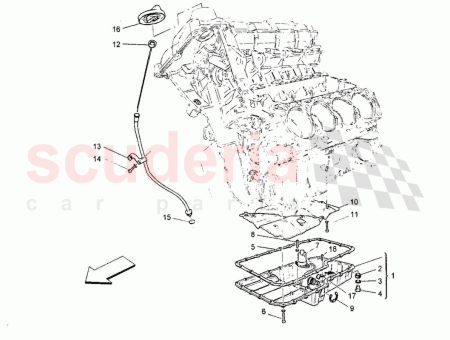 Photo of LSUMPFSCHILD…