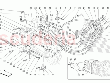 Photo of F LLERHALS…