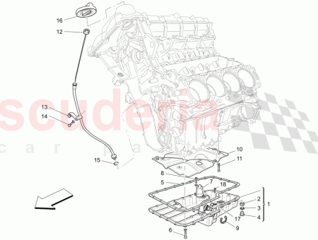 Photo of LSUMPFSCHILD…