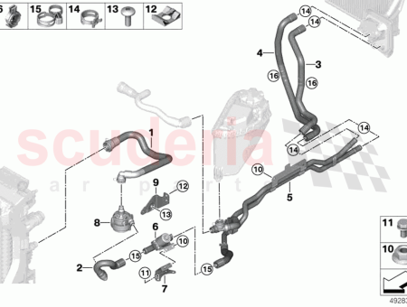 Photo of FEDERRING H LLE…