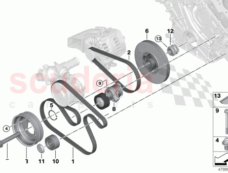 Photo of RIBBEL KEILRIEMEN…