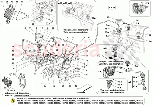 Part Diagram for Ferrari 239218