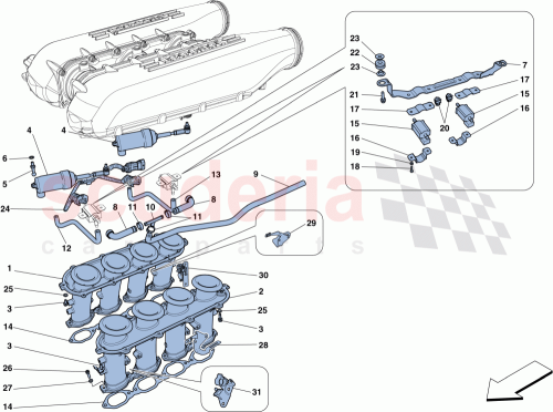 Part Diagram for Ferrari 259167